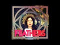 Feathers Dark Matter 