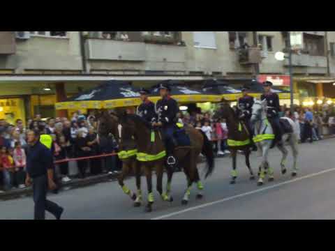 47. Ljubicevske Konjicke Igre (3. Deo)