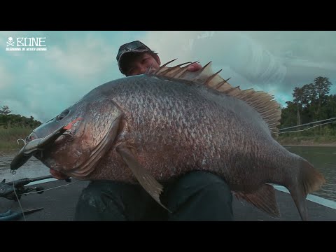 SCARY DRAG SOUND! MASSIVE PAPUAN BASS LANDED with the BONE Voyage Expedition Travel Rods!