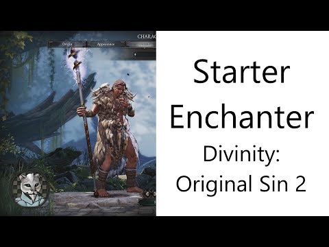 ✅ Basic Starter Enchanter in Divinity: Original Sin 2
