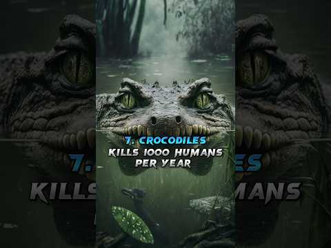 Top Ten Most Dangerous Animals In The World 🌎 #shorts #trending #youtube