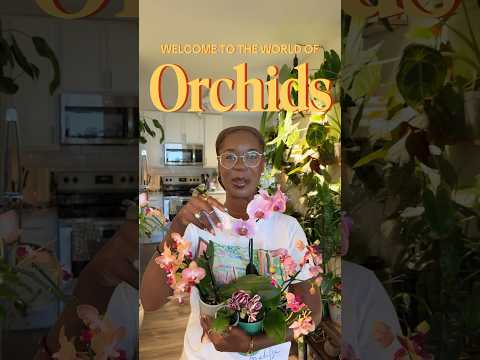 🌸Let’s talk about Orchids!🌸 #orchid #plants