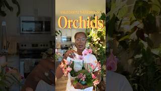 🌸Let’s talk about Orchids!🌸 #orchid #plants