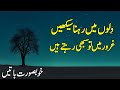 Amazing Collection Of Urdu Quotes | Inspirational Hindi Quotes | Aqwal e zareen