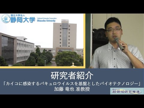 言語文化学科 第10回超領域研究会「カイコに感染するバキュロウイルスを基盤としたバイオテクノロジー」 加藤 竜也 准教授-静岡大学 【研究者紹介】