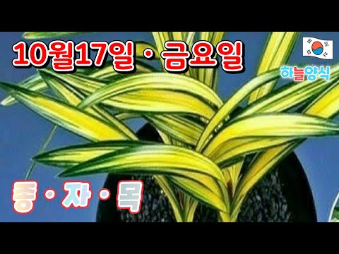 유튜브 썸네일
