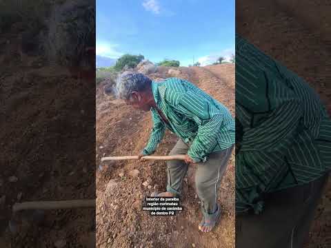 interior da paraiba região curimatau cidade cacimba de dentro PB