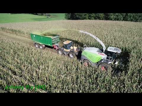 Maishäckseln 2019 Teil 3 LU Krumm Claas Jaguar 950, JCB, Fendt, Deutz, Kröger, Fliegl ASW[4K]