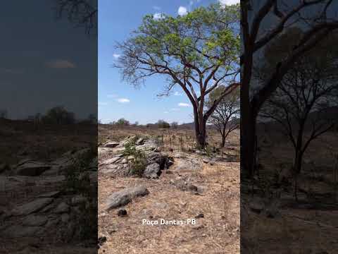Fazenda origem , poço Dantas PB mais de 100 anos