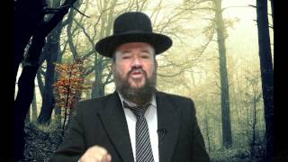 פרשת וארא – נביא אמת ונביא שקר