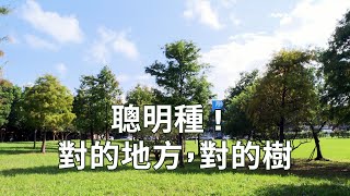 [問卦] 如果很想要種樹的話要怎麼辦啊？