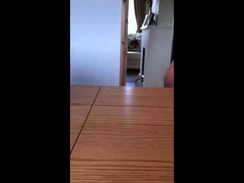 The new face of malteasers