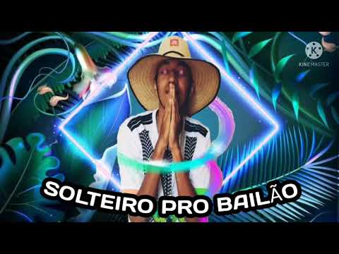 BREGA FUNK REMIX SOLTEIRO PRO BAILÃO