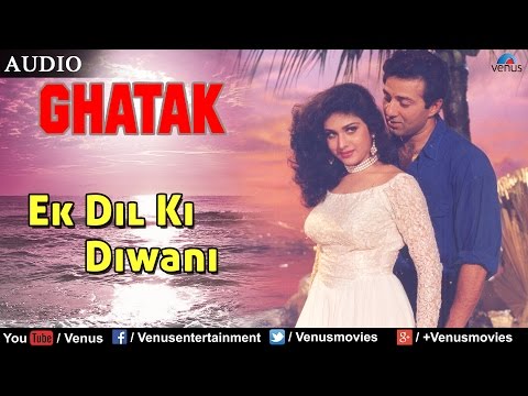 Poster ek dil ki diwani