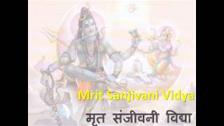 Mahavidya Mrit Sanjeevani Lord Shiva मृत संजीवनी विद्या