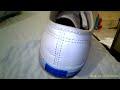 Inside Daisy S Keds Shoes