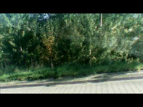 X Rajd Żarnowiecki OS6 - Amhil 2