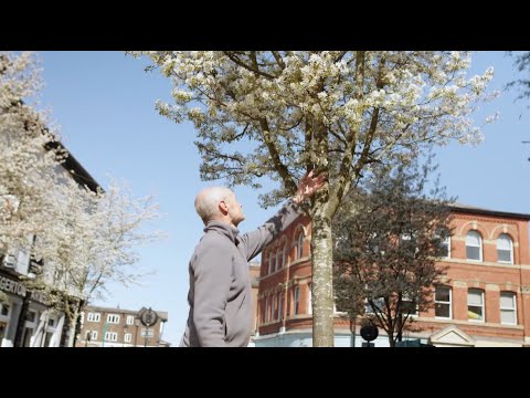 We are City of Trees