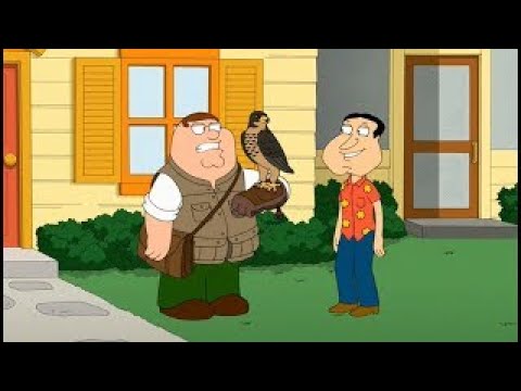 Family Guy Best Moments - Peter's falcon