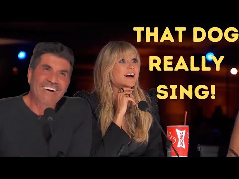 Pam And Casper AGT Audition | SIMON Is Shocked When The Dog Starts To Sing "ALL BY MY SELF"! |OMG!