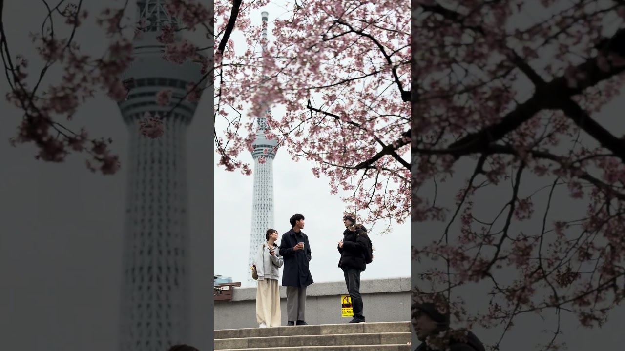 View point at Sumida Riverside Tokyo #tokyo #sakura