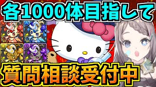 【各1000体目指して】質問相談に答えながらガンコラ周回雑談!ピィ集め!ちなみにワンピースはサニー号に乗った!【パズドラ】