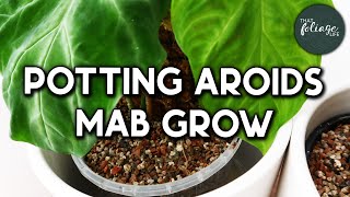 Using Dr. Greenthumbs MAB grow for the first time!