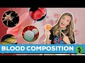 Blood Components Red White Blood Cells Platelets Plasma