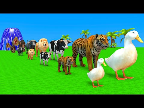 Long Slide Game With Elephant Gorilla Buffalo Hippopotamus Tiger 3d Animal Game Funny 3d Animals