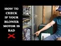 Furnace Blower Not Working How To Check It