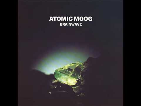 Atomic Moog - Model