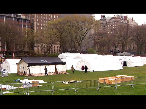 セントラルパークが野戦病院に変身 (Central Park Turns Into Field Hospital)