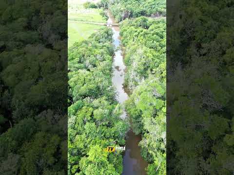 MARGENS DO RIO PIRIÁ, ENTRE A COMUNIDADE CASTANHEIRA, EM NOVA ESPERANÇA DO PIRIÁ