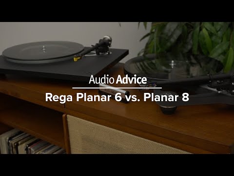 Rega Planar 6 vs Planar 8 Turntable Comparison