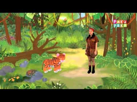 Animapaka II: Tigre (Cap. 4) - Canal Pakapaka