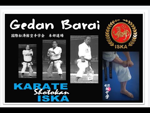 Tutorial Nº10 Gedan Barai