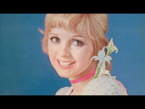 Daniele Vidal -  C'EST TOUTE UNE MUSIQUE