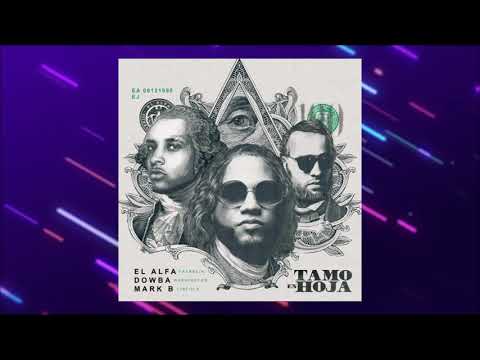EL ALFA x DOWBA MONTANA x MARK B - TAMO EN HOJA
