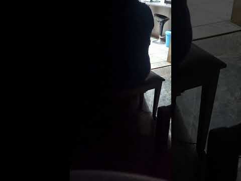 Requiem for the despairing - Improvised consolation for the harmonium