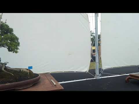 kontes bonsai nasional di arhanud cirebon 2021