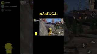【荒野行動】ワンパ潰し