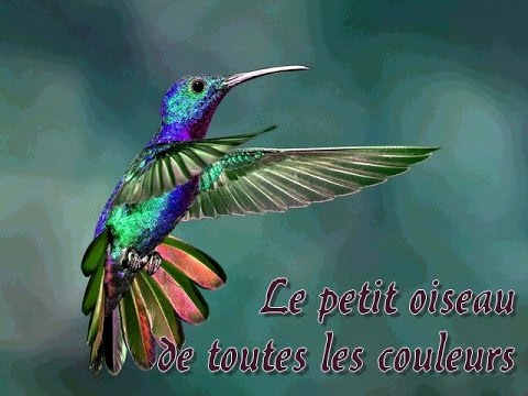 Le petit oiseau de toutes les couleurs (mezzo-soprano)