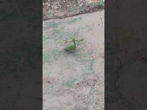 Los Molles.San Luis.Argentina.