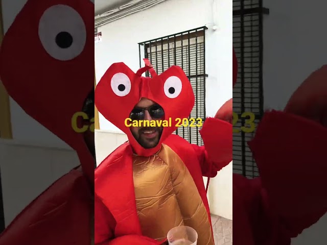 Vídeo relacionado con LBJR Disfraz Adulto Animal Pijama Entero Carnaval Halloween Christmas
