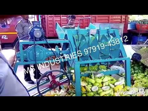 Papaya Cutting Machine