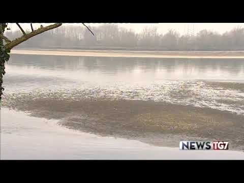 Servizio tg al 100419 Il Po restituisce cadavere mummificato