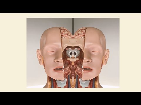 Terfak - Kardamom (prod. kkoma)