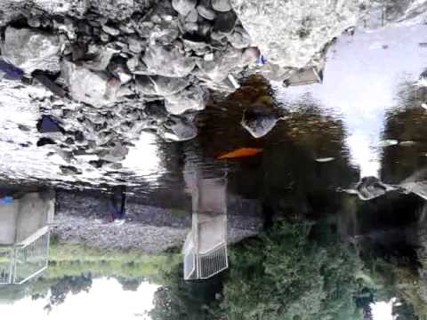 Fran building a dam drunk