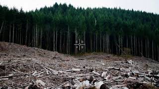 BRENNAN SAVAGE – More Than Ever