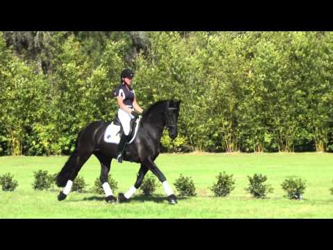 Jewel ISF at Iron Spring Farm, Spring 2015 - SOLD!